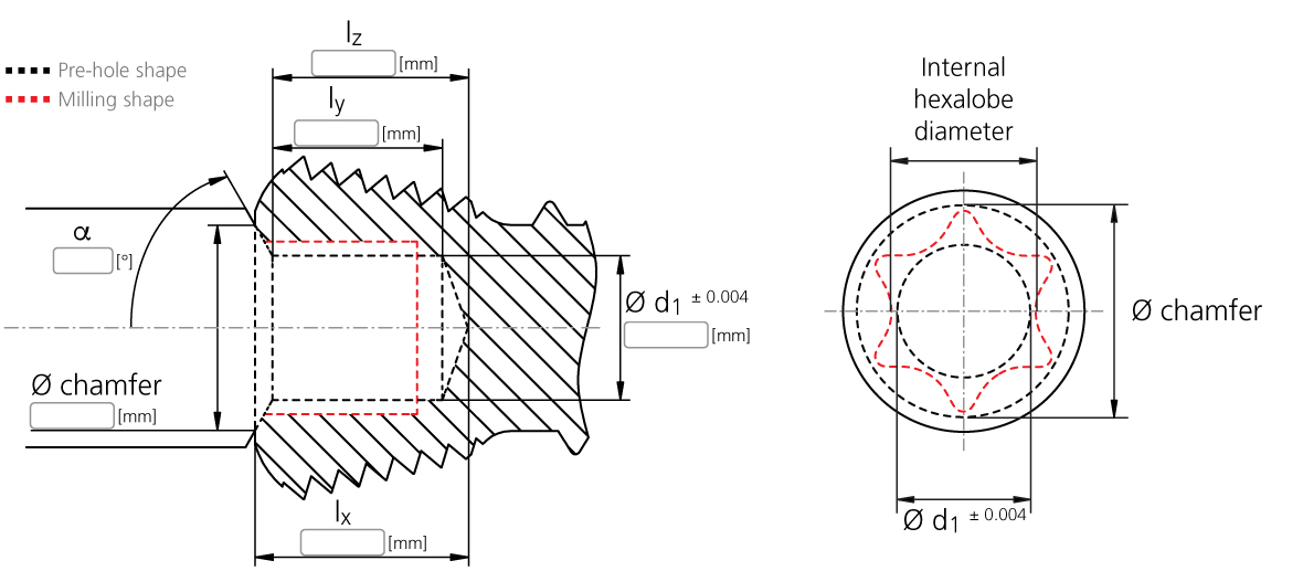 Hexalobe ENG